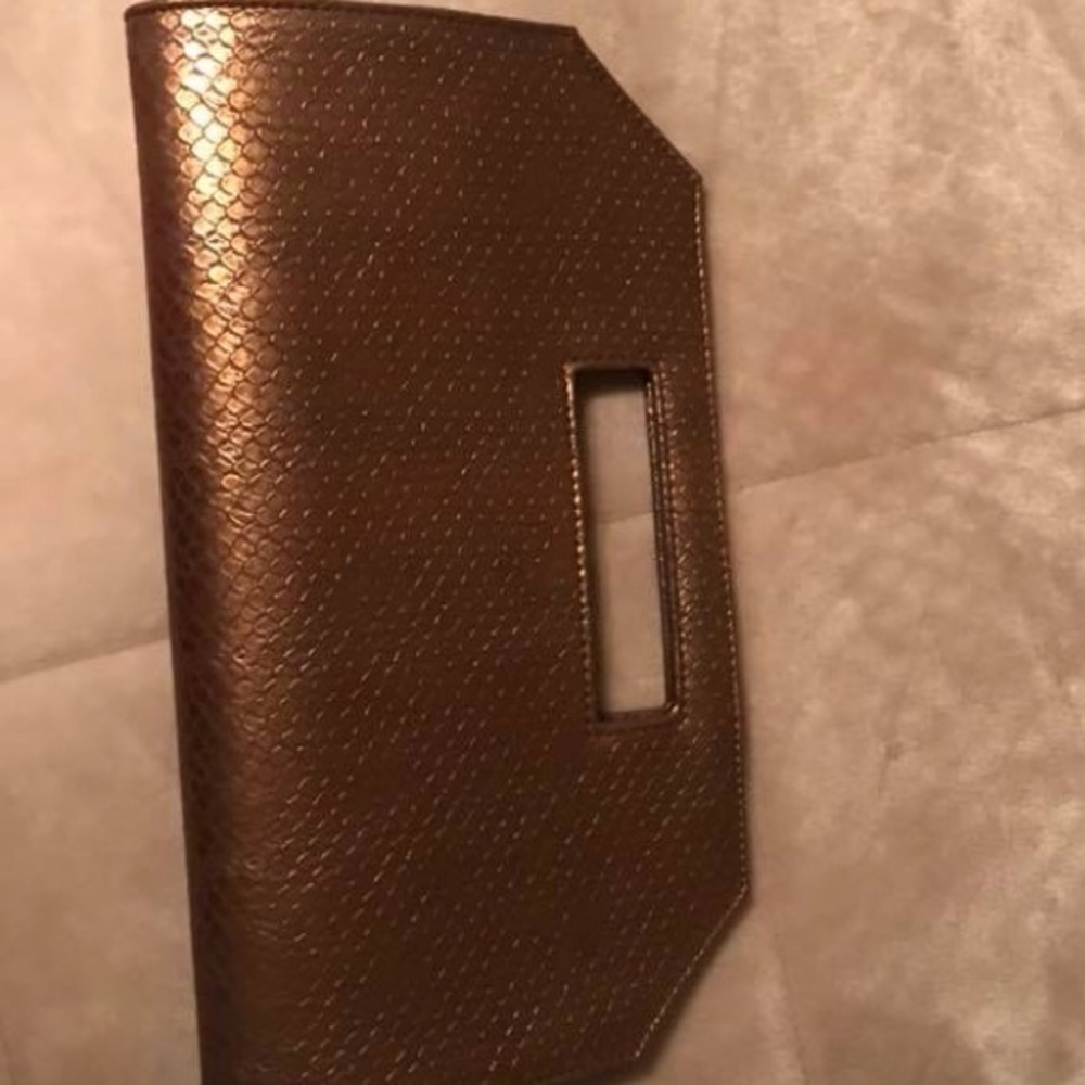 Bronze reptile skin clutch/purse.